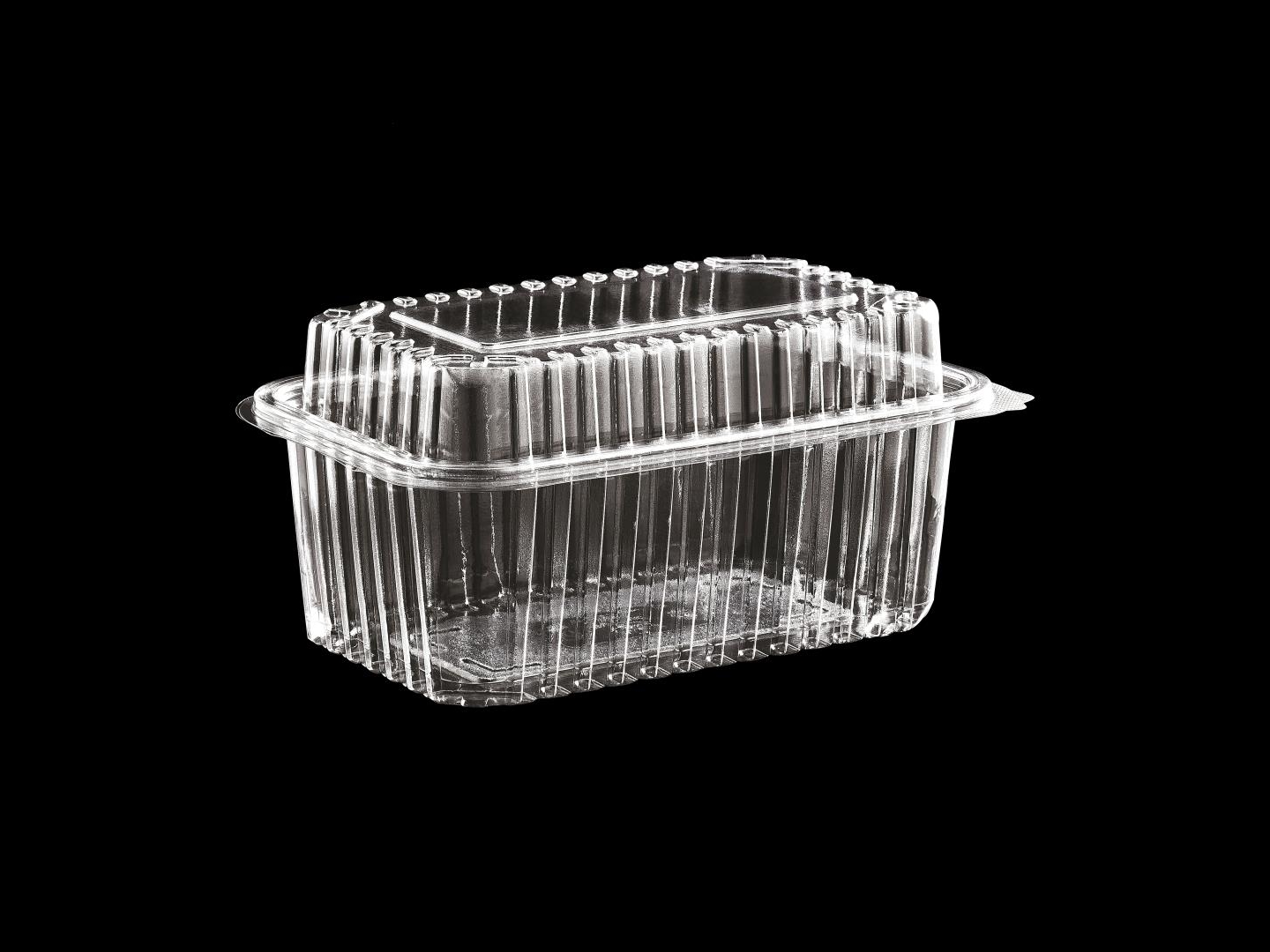 >1000 cc High Lid Hinged Lid Food Container