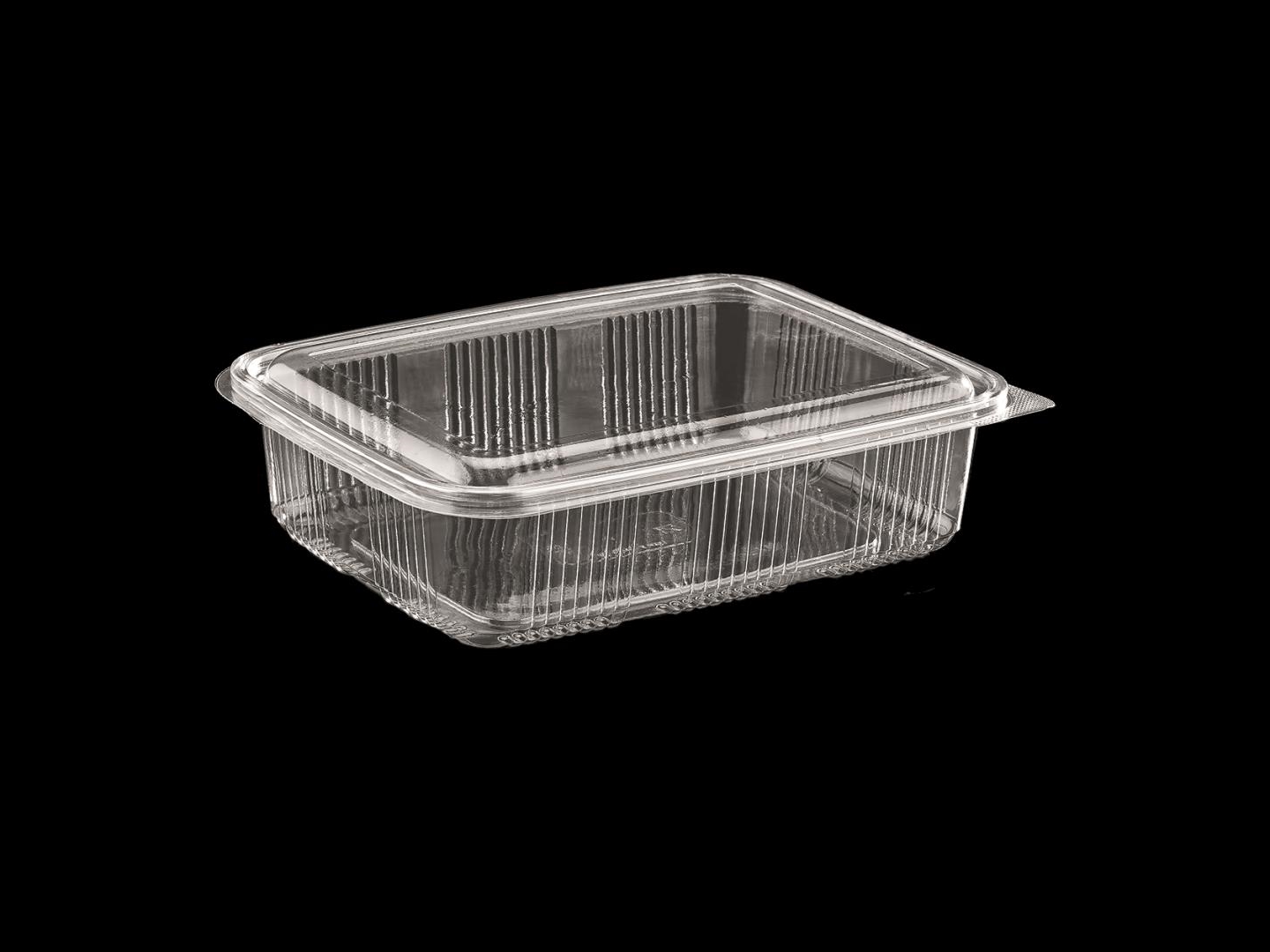 >1250 cc Luxury Hinged Lid Food Container
