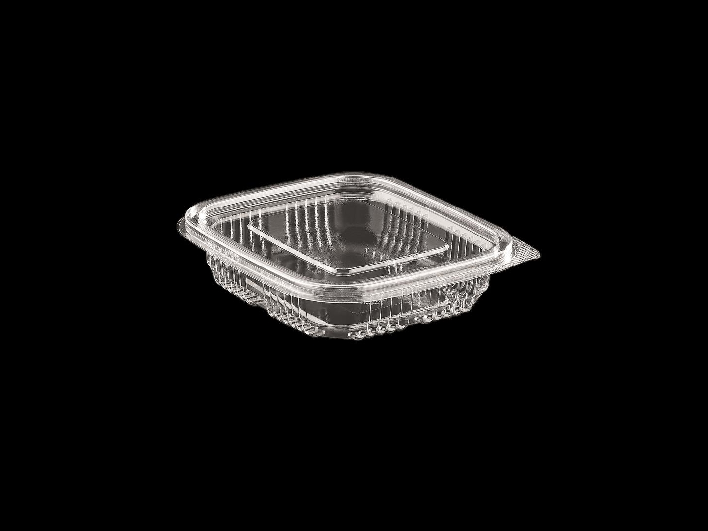 >150 cc Luxury Hinged Lid Food Container