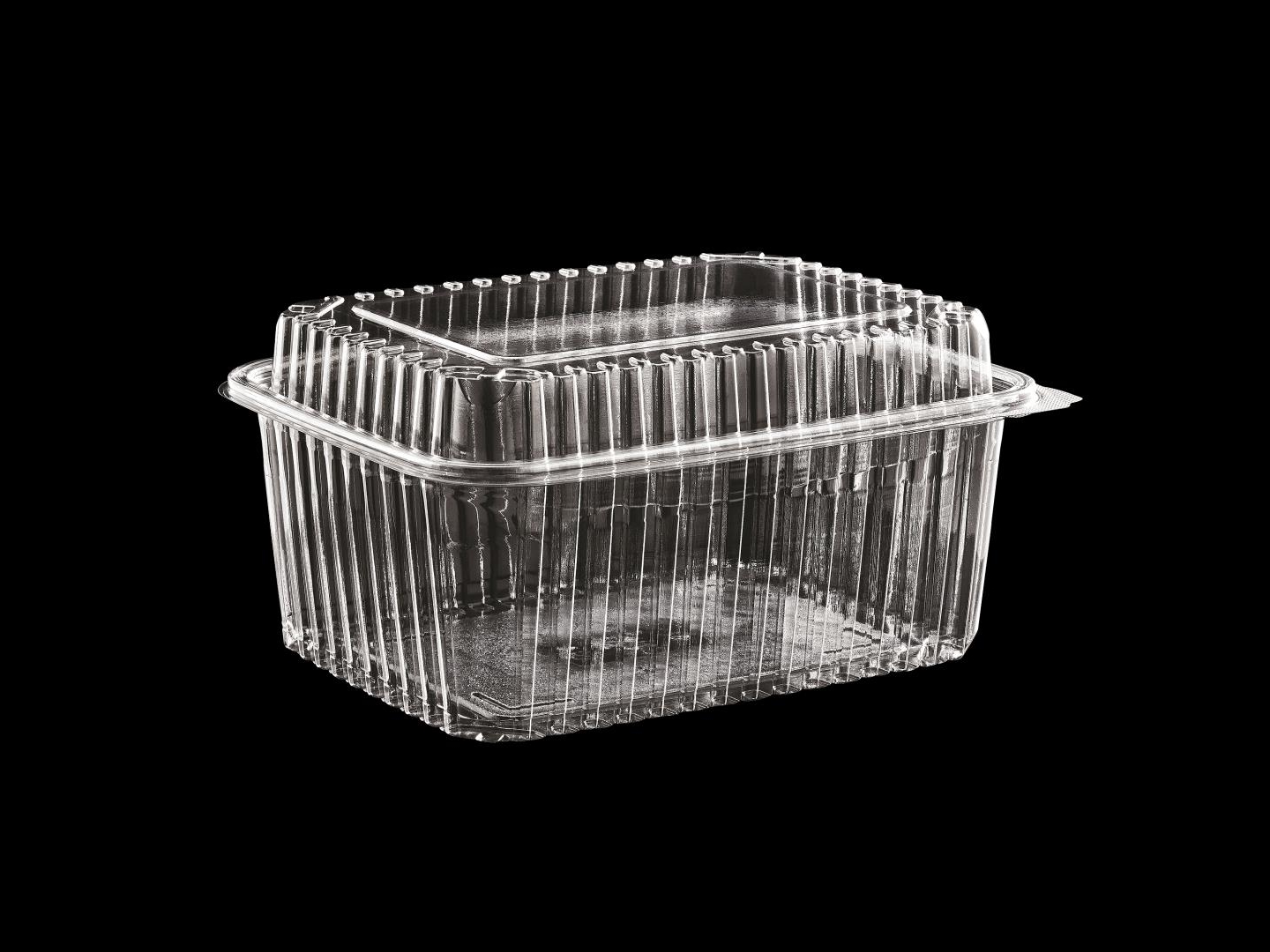 >2000 cc High Lid Hinged Lid Food Container