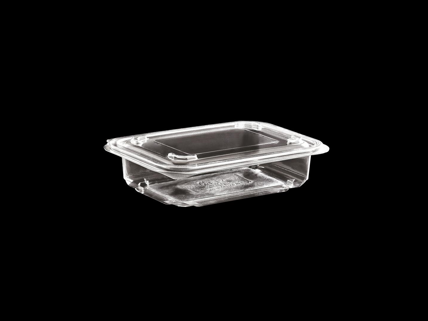 >250 cc  Hinged Lid Food Container