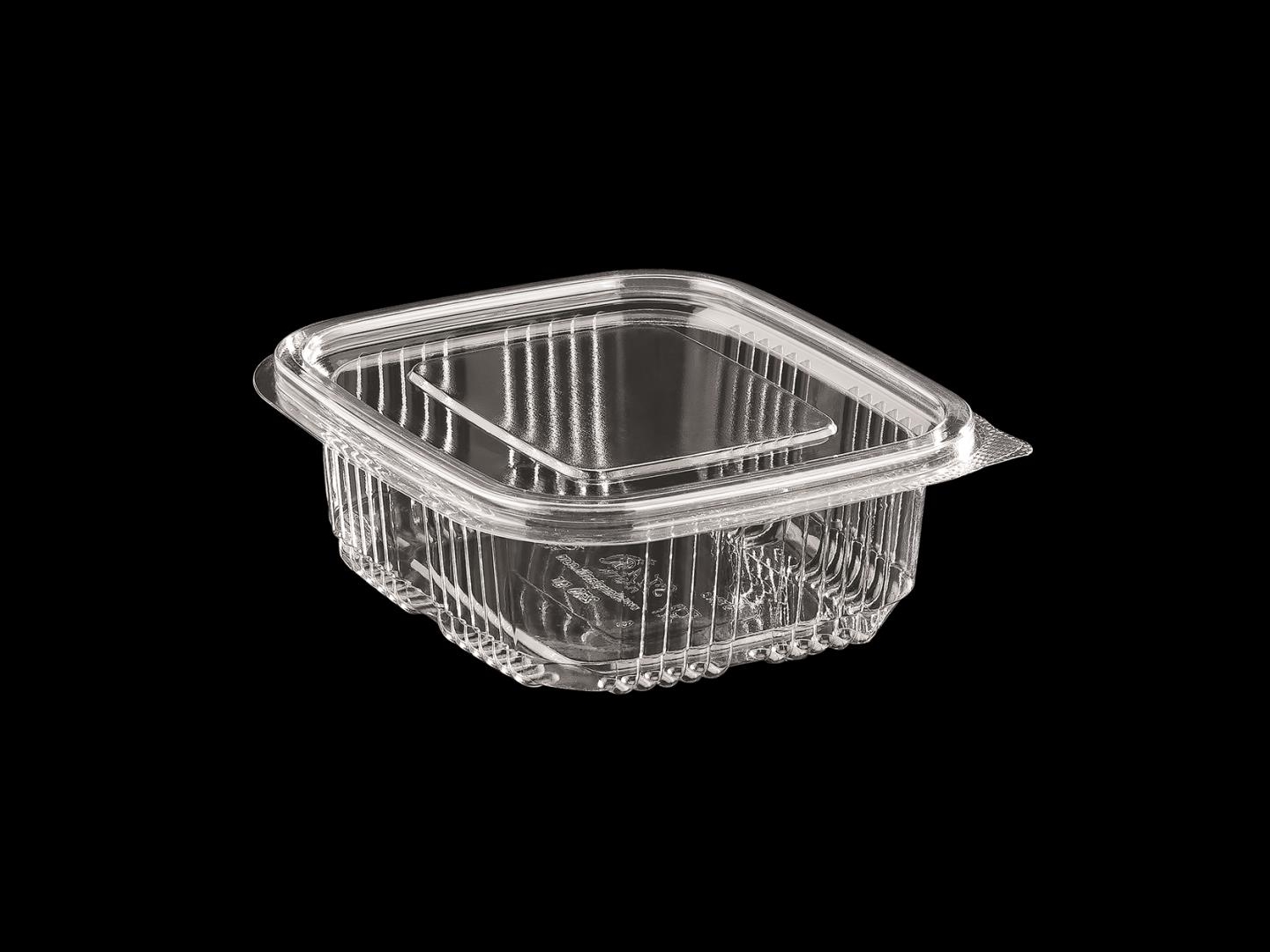 >250 cc Luxury Hinged Lid Food Container