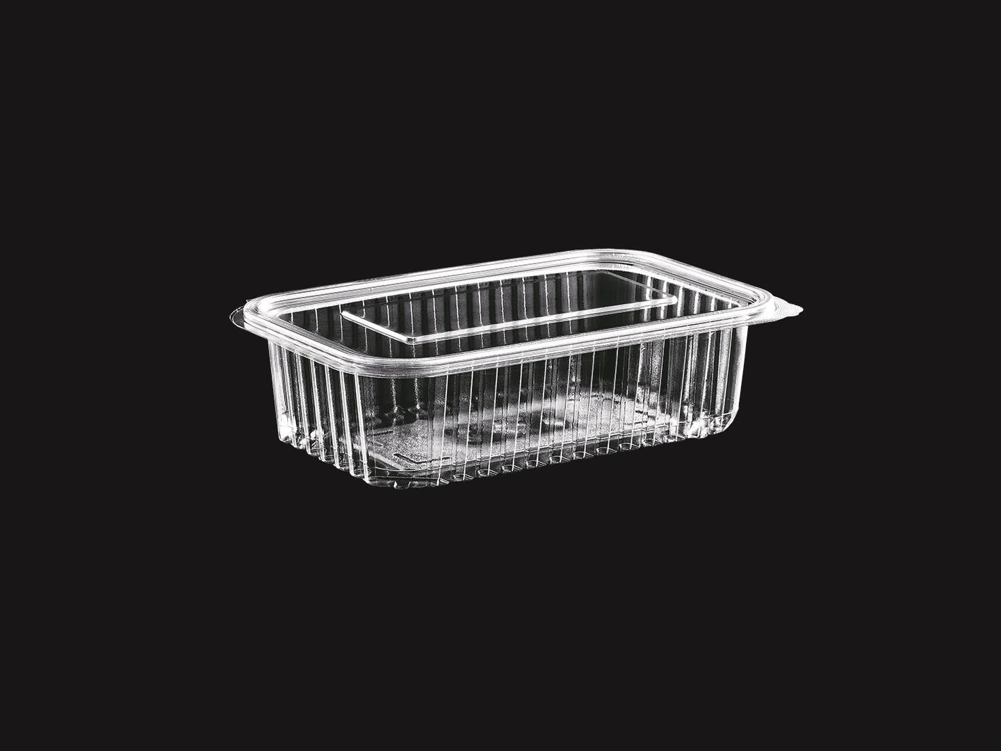 >550 cc Hinged Lid Food Container