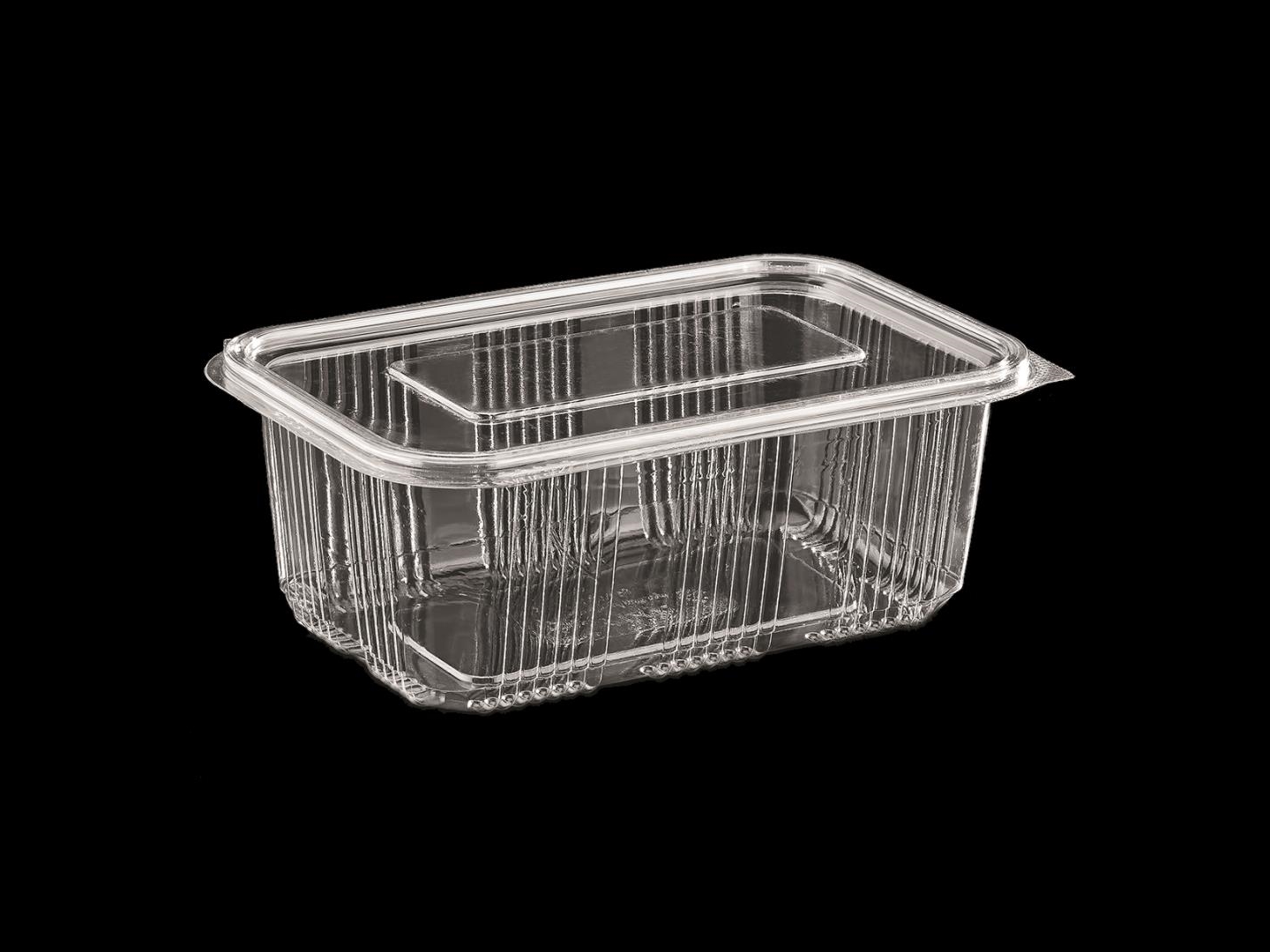 >1000 cc Luxury Hinged Lid Food Container