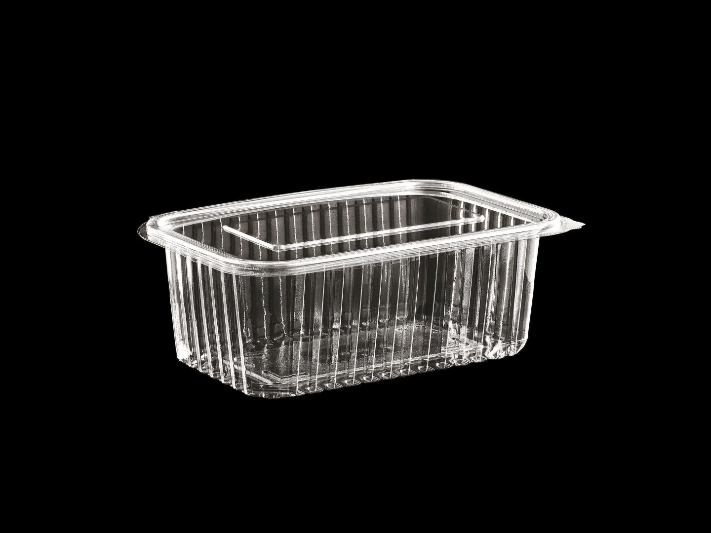 >1000 cc Hinged Lid Food Container