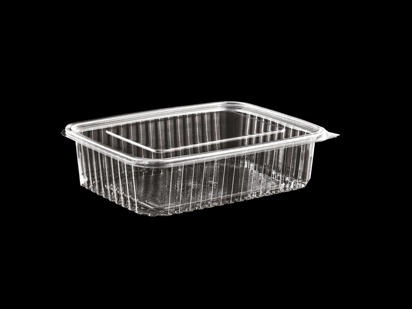 >1250 cc Hinged Lid Food Container