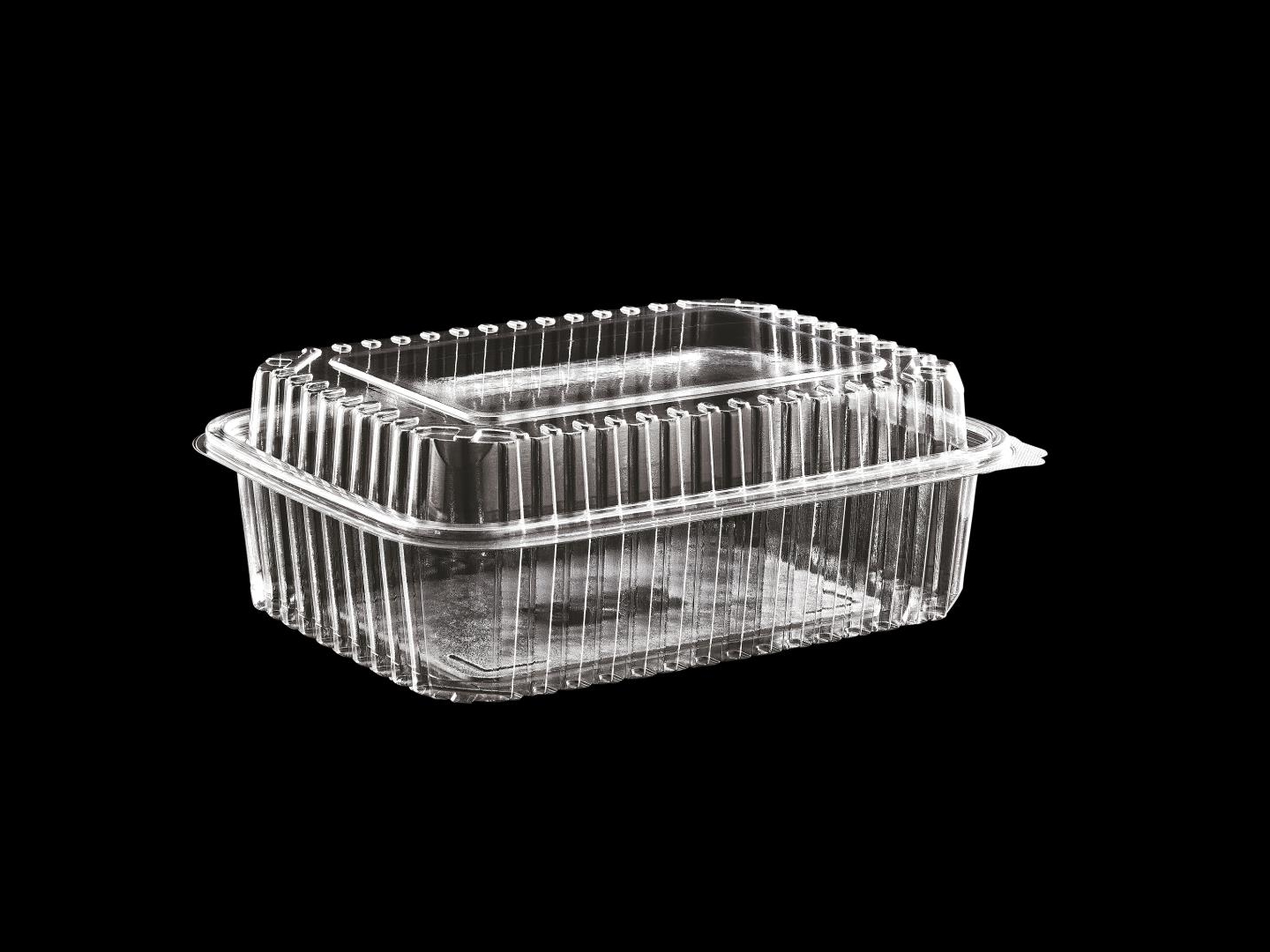 >1250 cc High Lid Hinged Lid Food Container