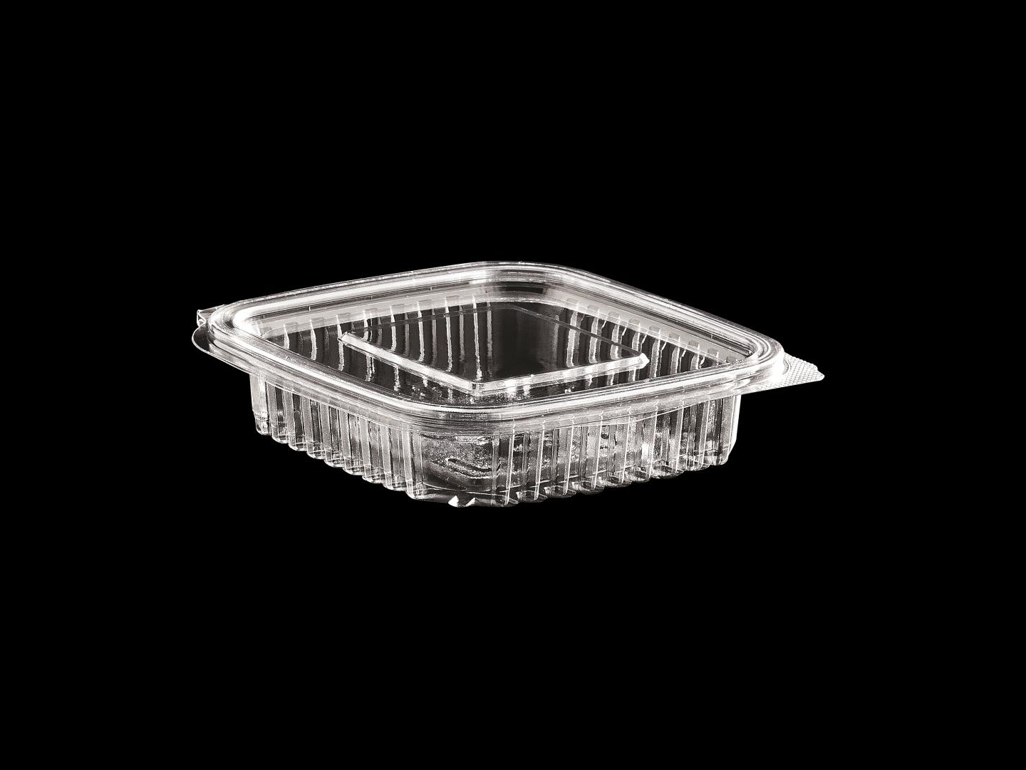 >150 cc Hinged Lid Food Container
