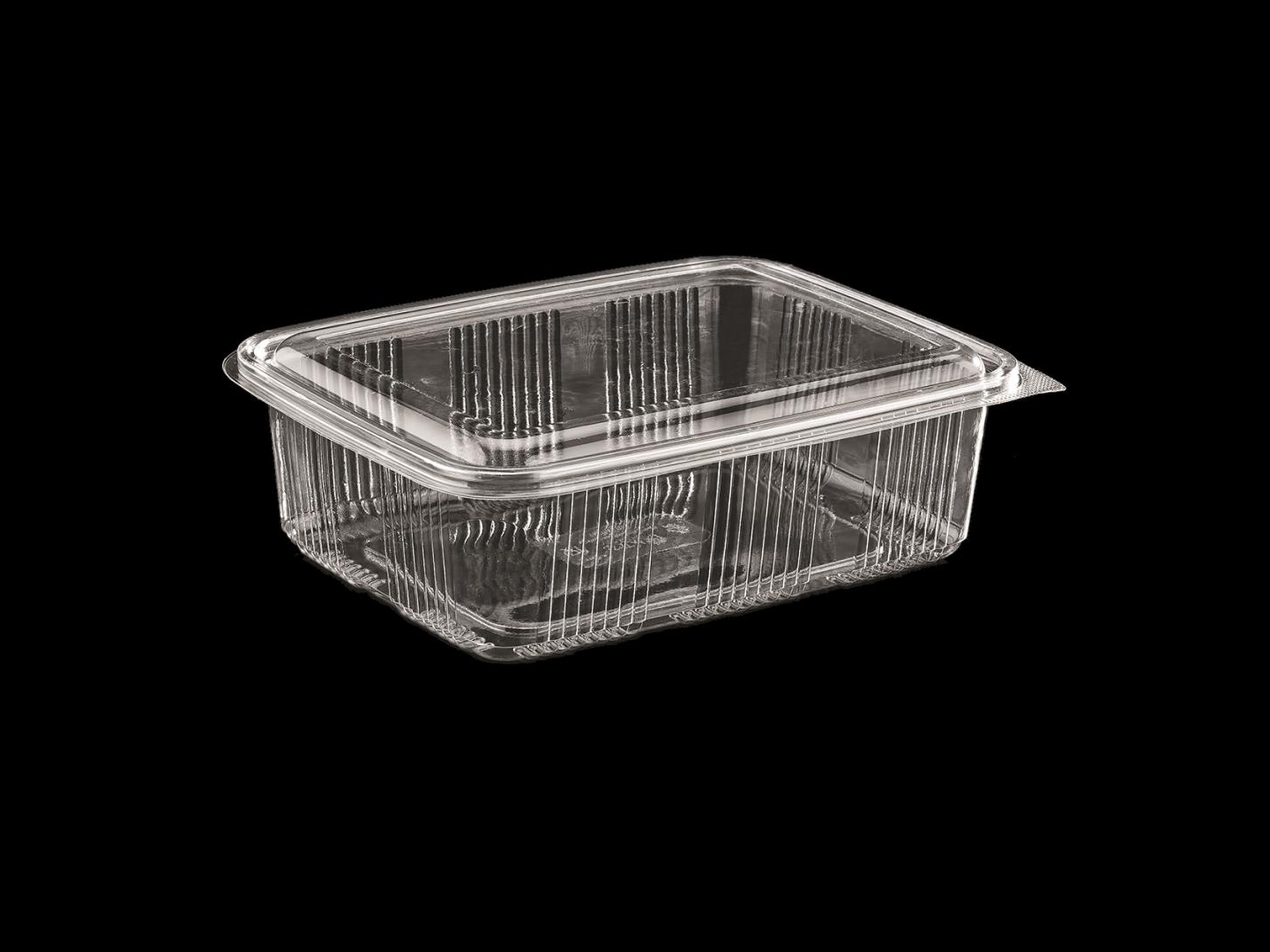 >1500 cc Luxury Hinged Lid Food Container