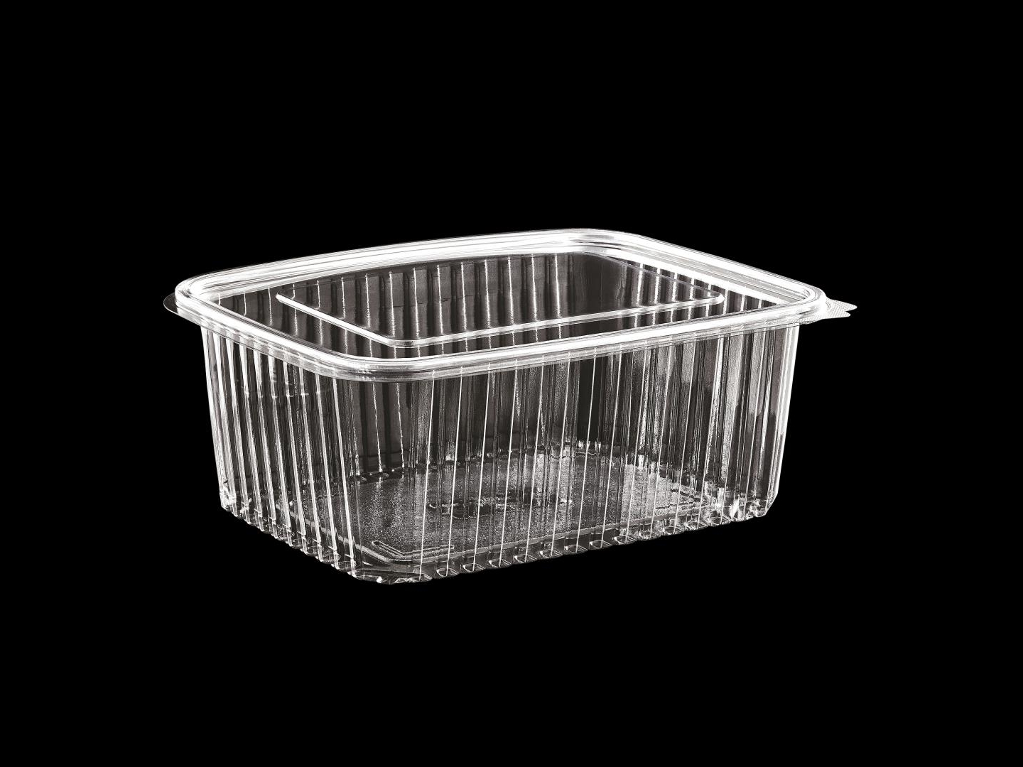 >2000 cc Hinged Lid Food Container